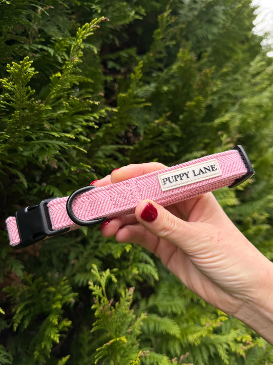 The Herringbone Collection - Baby Pink Collar