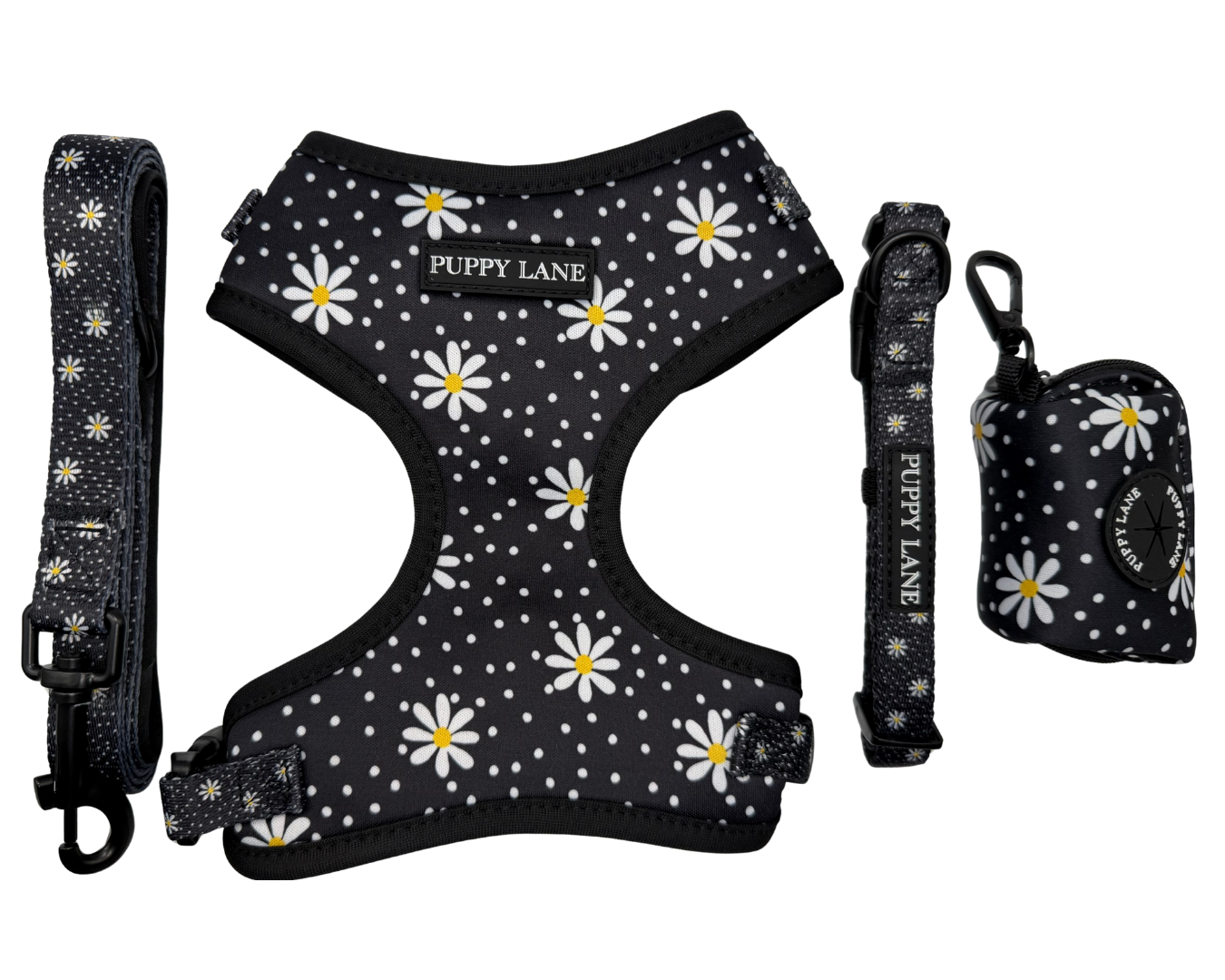 In Bloom - Daisy Bundle