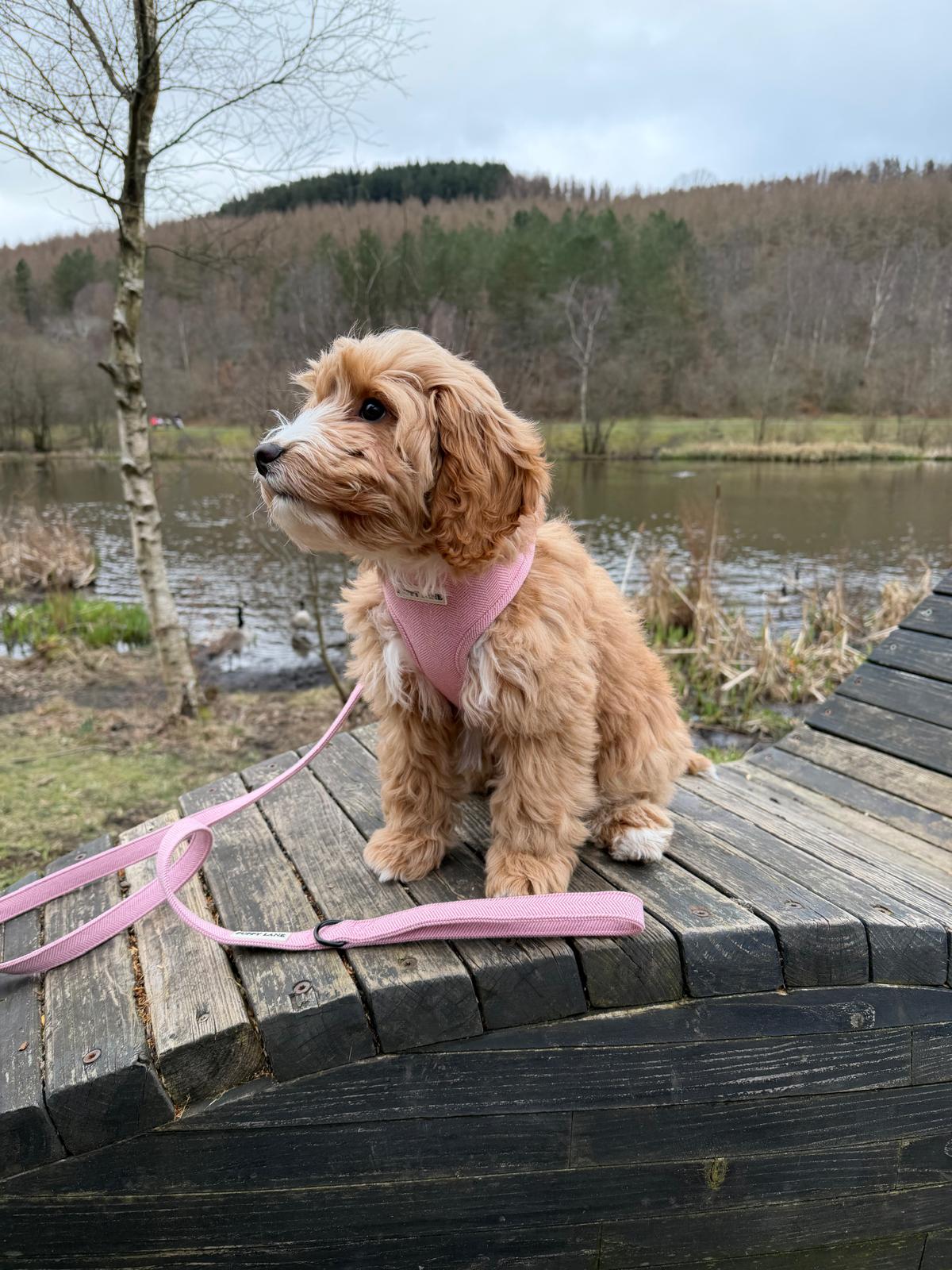 The Herringbone Collection - Baby Pink Adjustable Harness