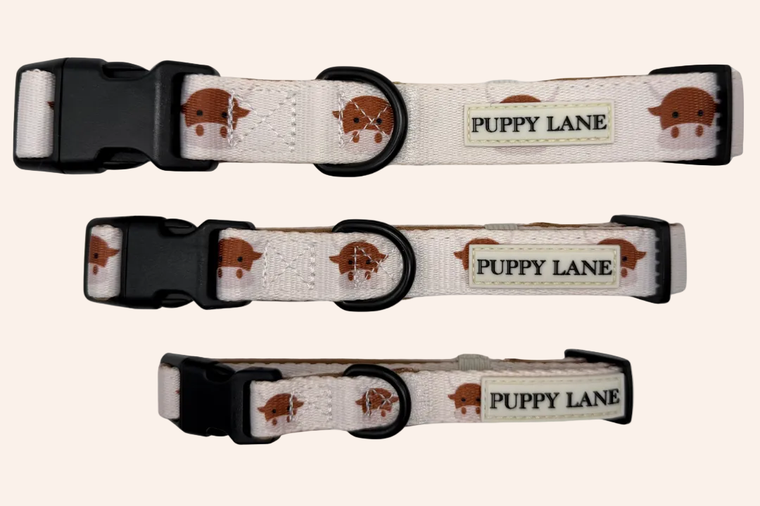 Dog Collars