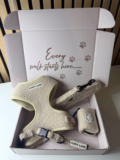 The Teddy Series Cream - Bundle