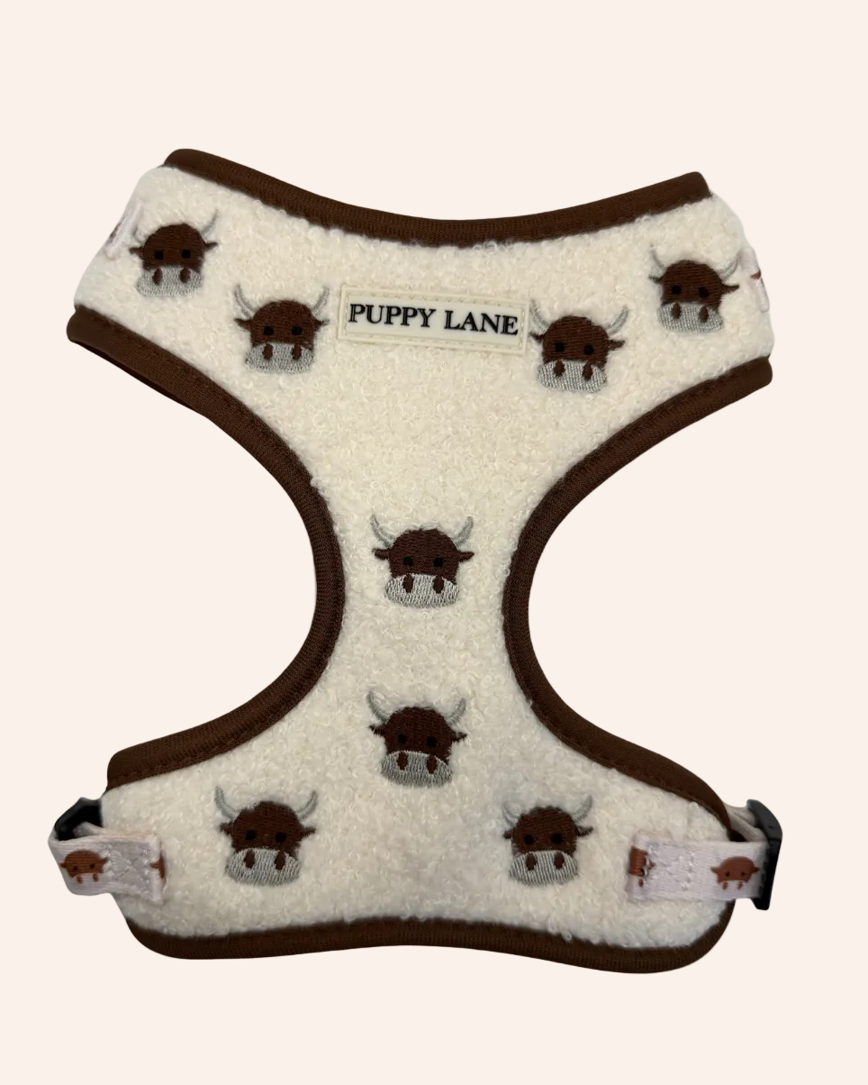 The Teddy Series x Angus - Adjustable Harness