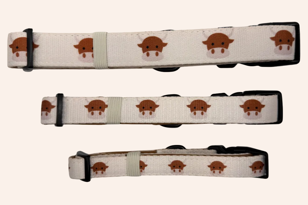 The Teddy Series x Angus - Collar