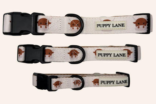 The Teddy Series x Angus - Collar