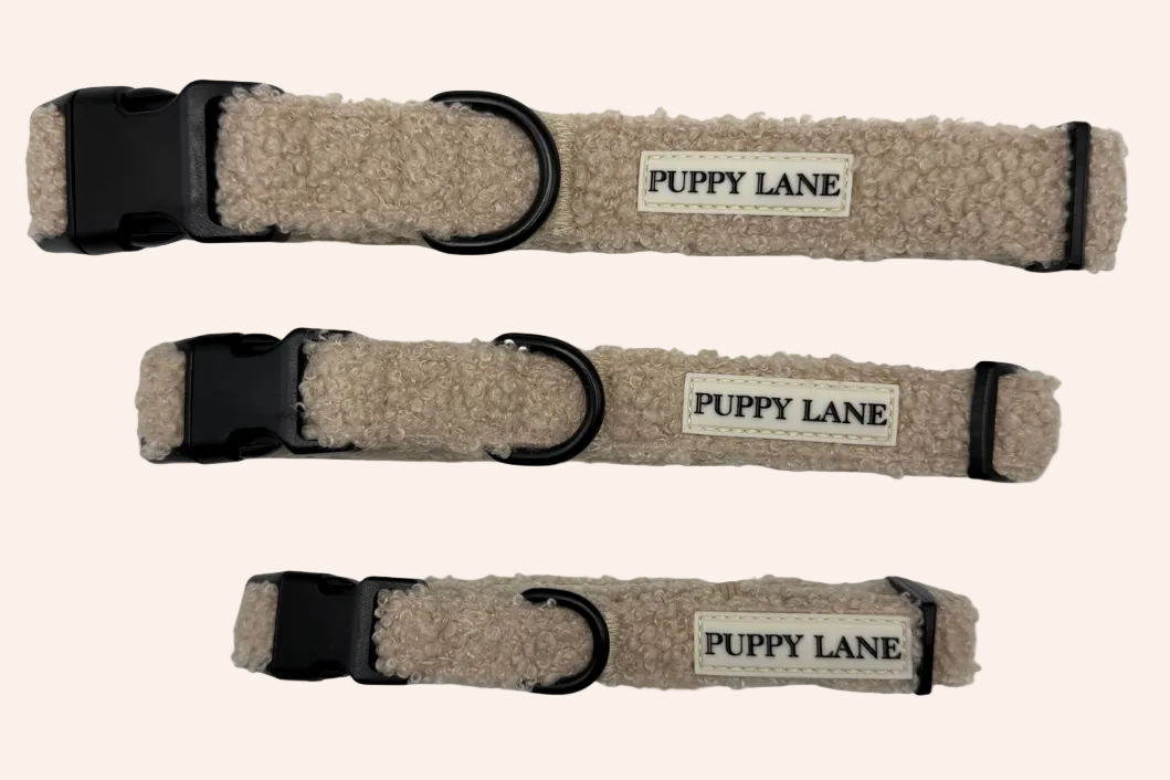 The Teddy Series - Cream Collar