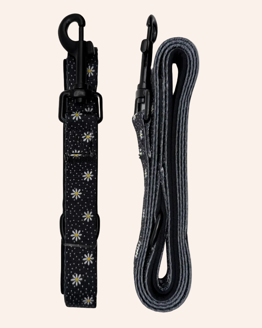 In Bloom - Daisy Lead