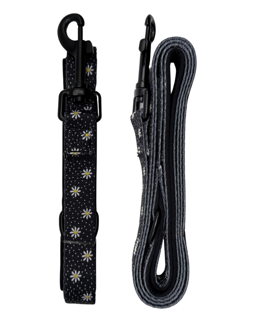 In Bloom - Daisy Lead