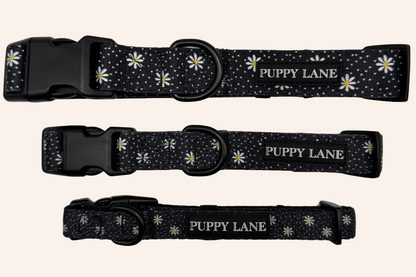 In Bloom - Daisy Collar