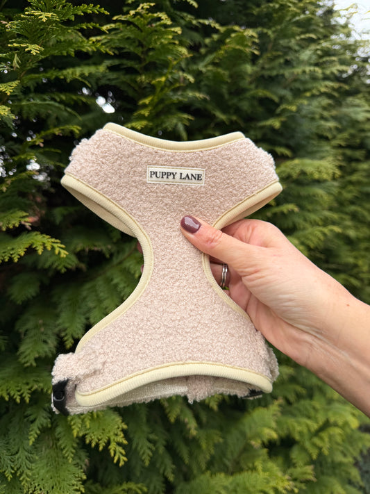 The Teddy Series - Cream Adjustable Harness