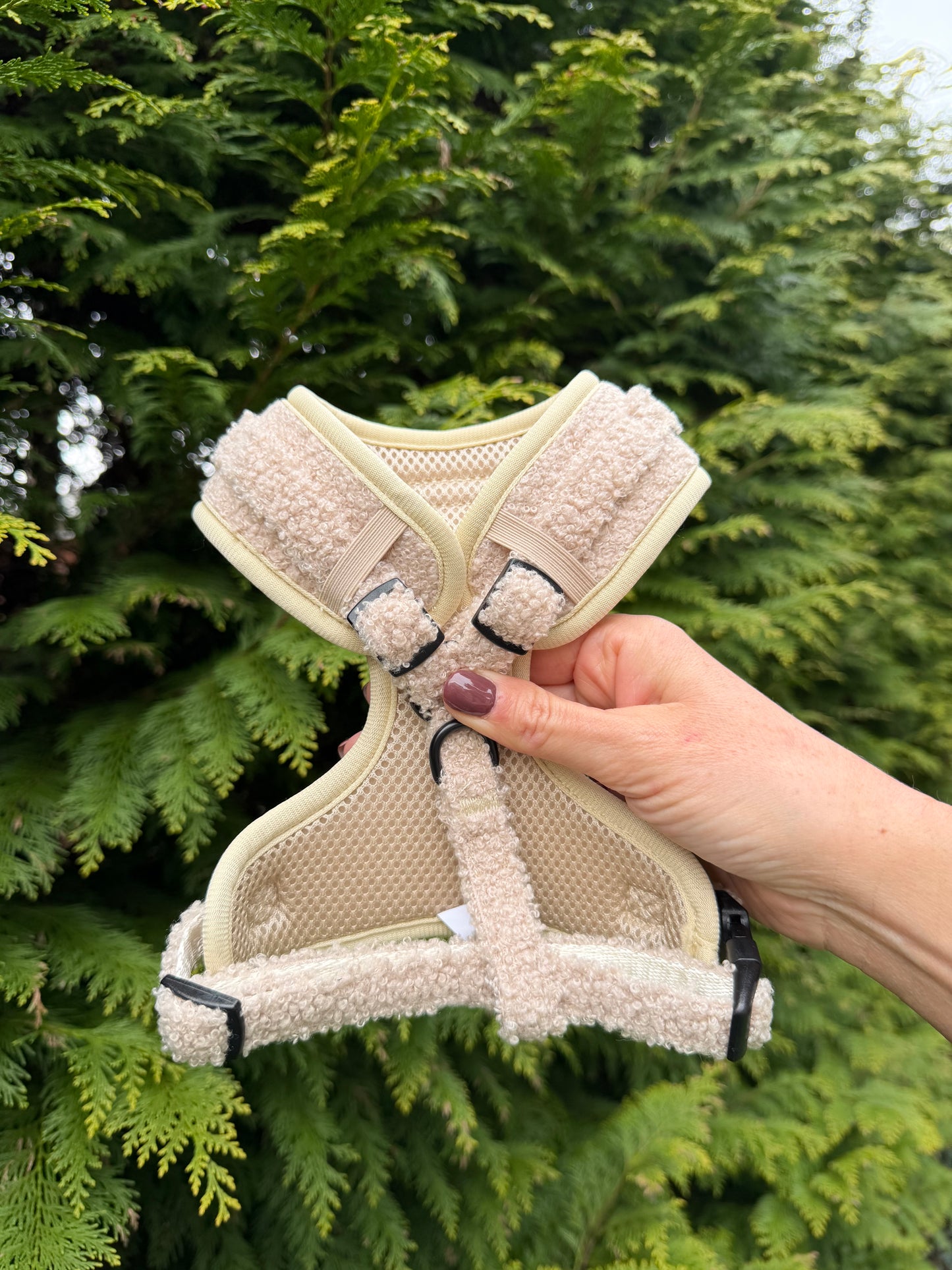 The Teddy Series - Cream Adjustable Harness