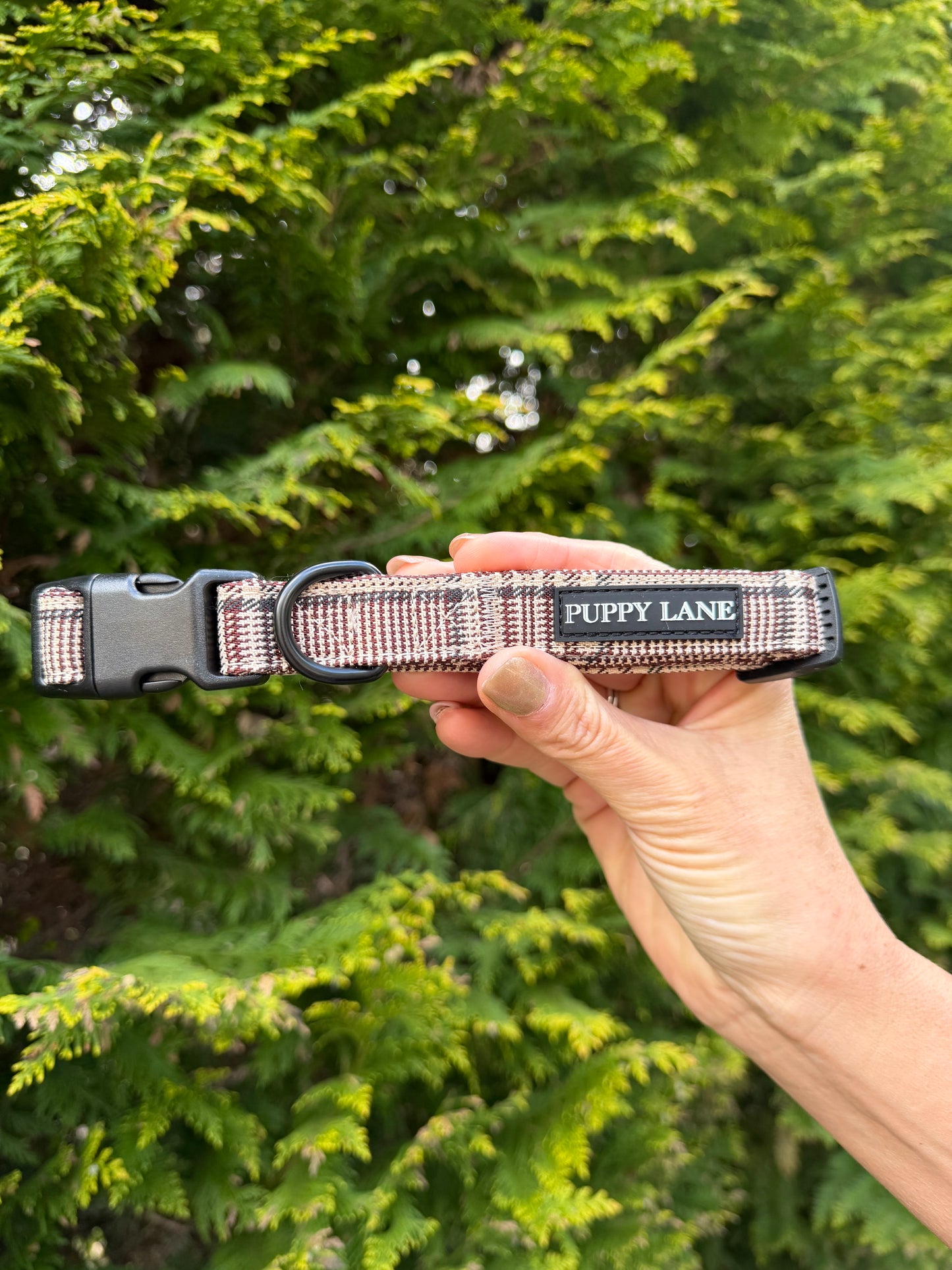 Pup in Plaid - Collar
