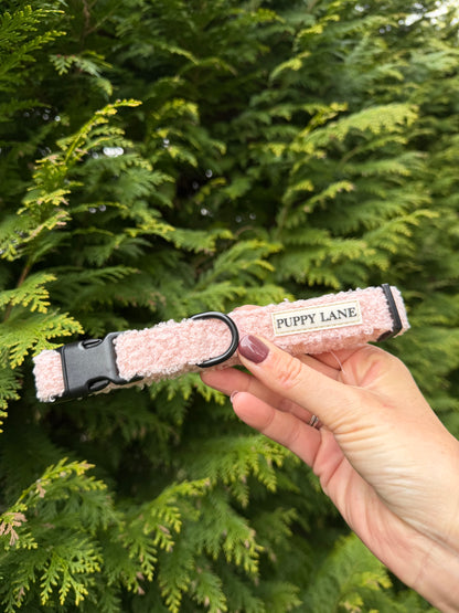 The Teddy Series - Pink Bundle