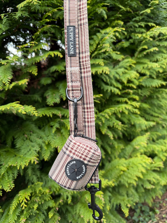 Pup in Plaid - Lead
