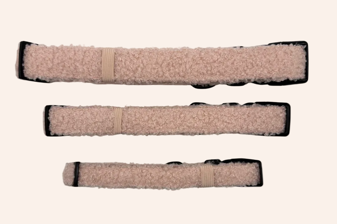 The Teddy Series - Pink Collar