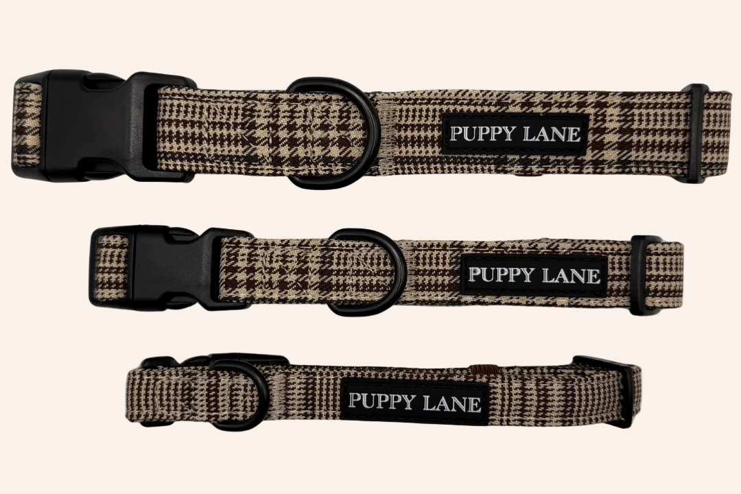 Pup in Plaid - Collar