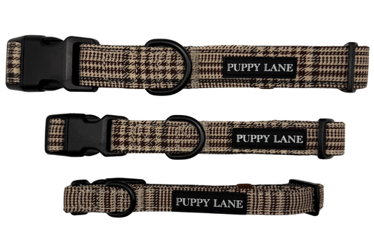 Pup in Plaid - Collar