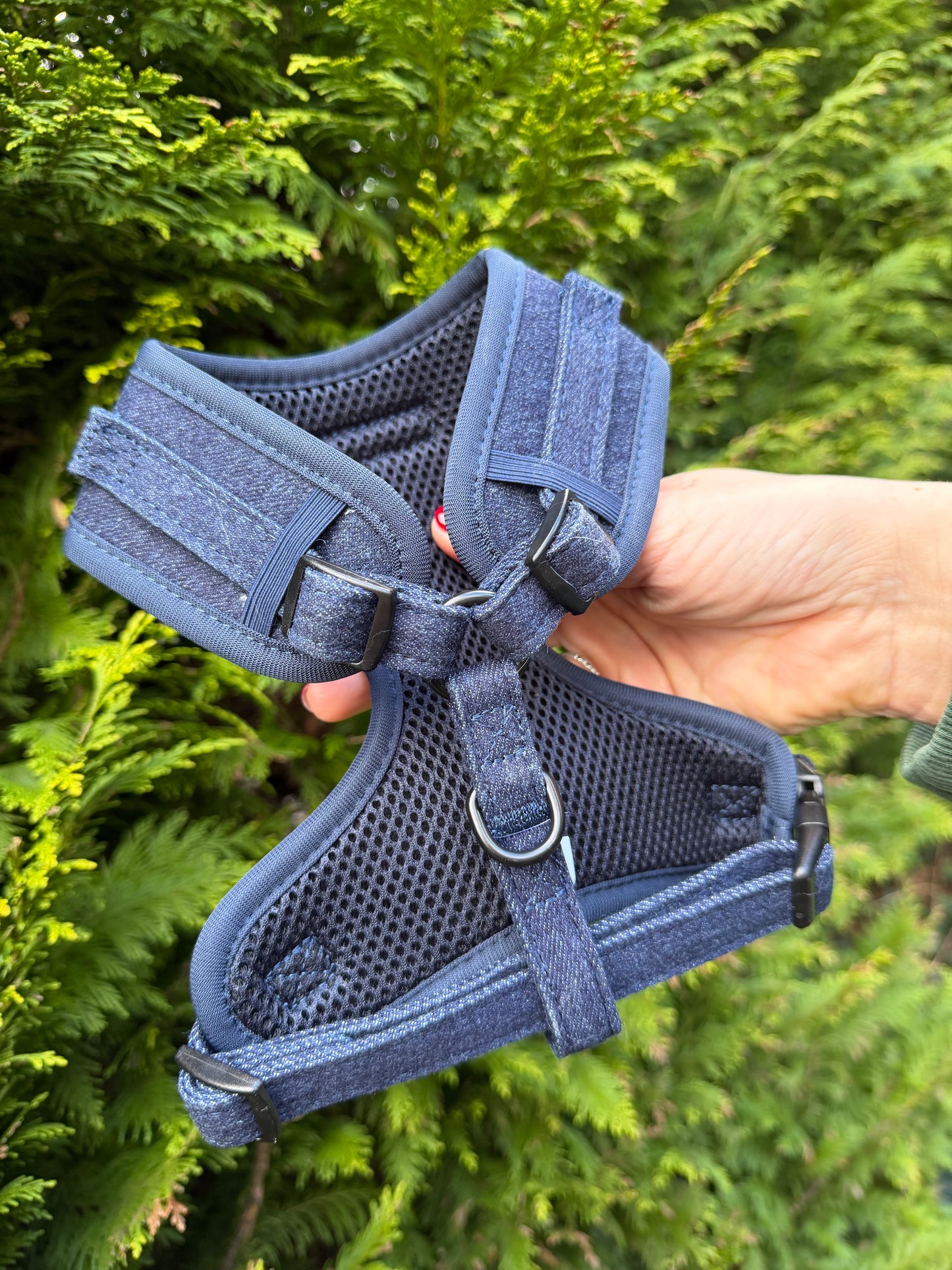 The Denim One - Bundle