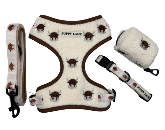 The Teddy Series x Angus - Bundle