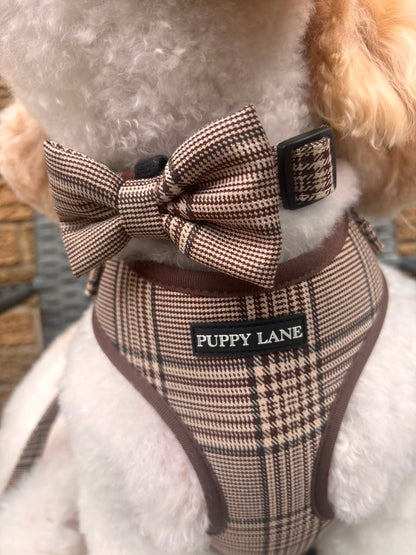 Pup in Plaid - Dickie Bow