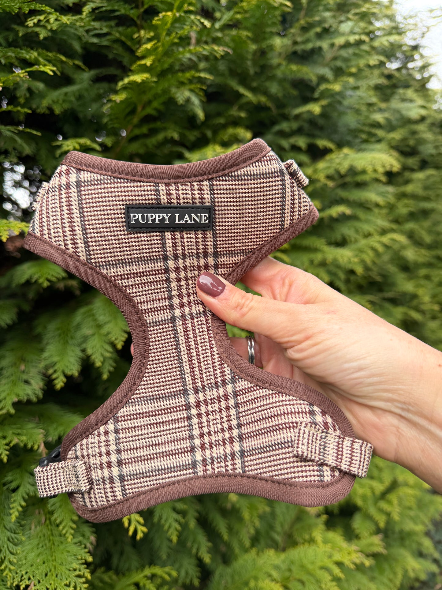 Pup in Plaid - Adjustable Harness