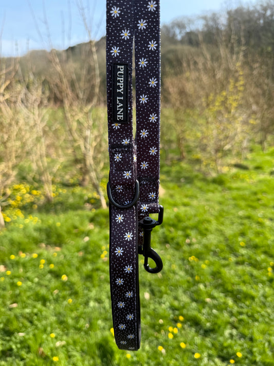 In Bloom - Daisy Lead