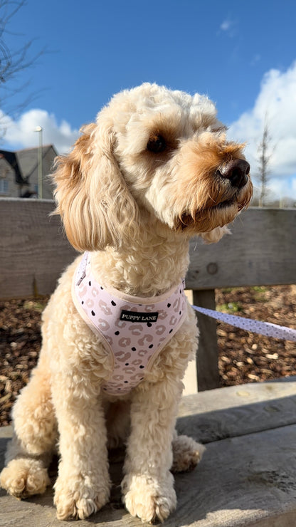 Leopard Luxe Edition - Adjustable Harness