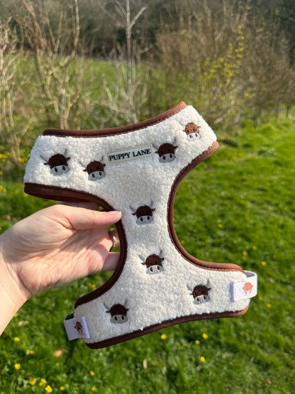 The Teddy Series x Angus - Bundle