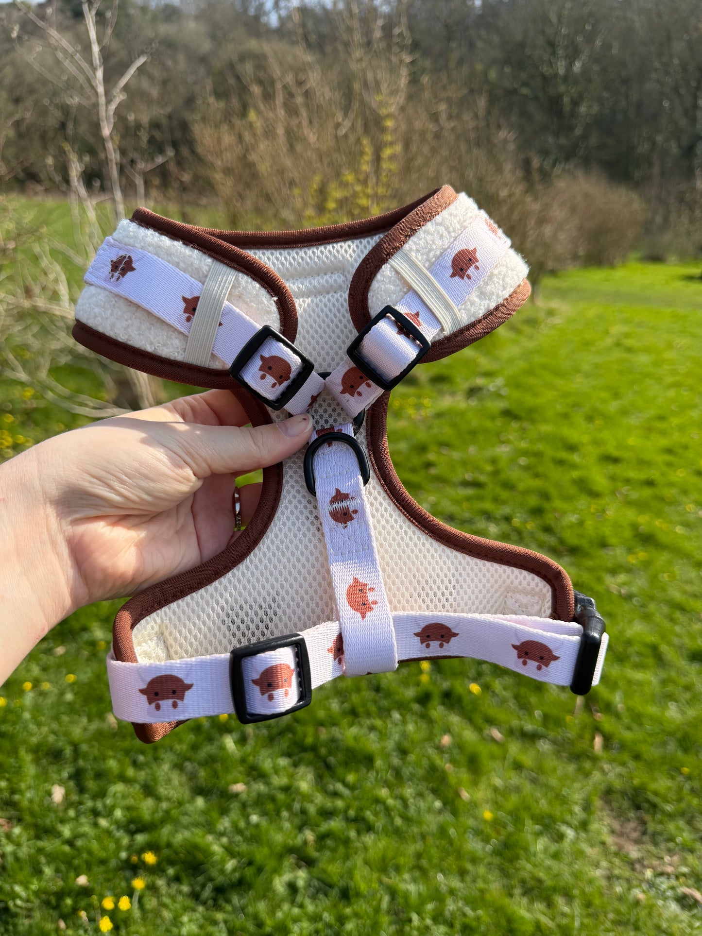 The Teddy Series x Angus - Adjustable Harness