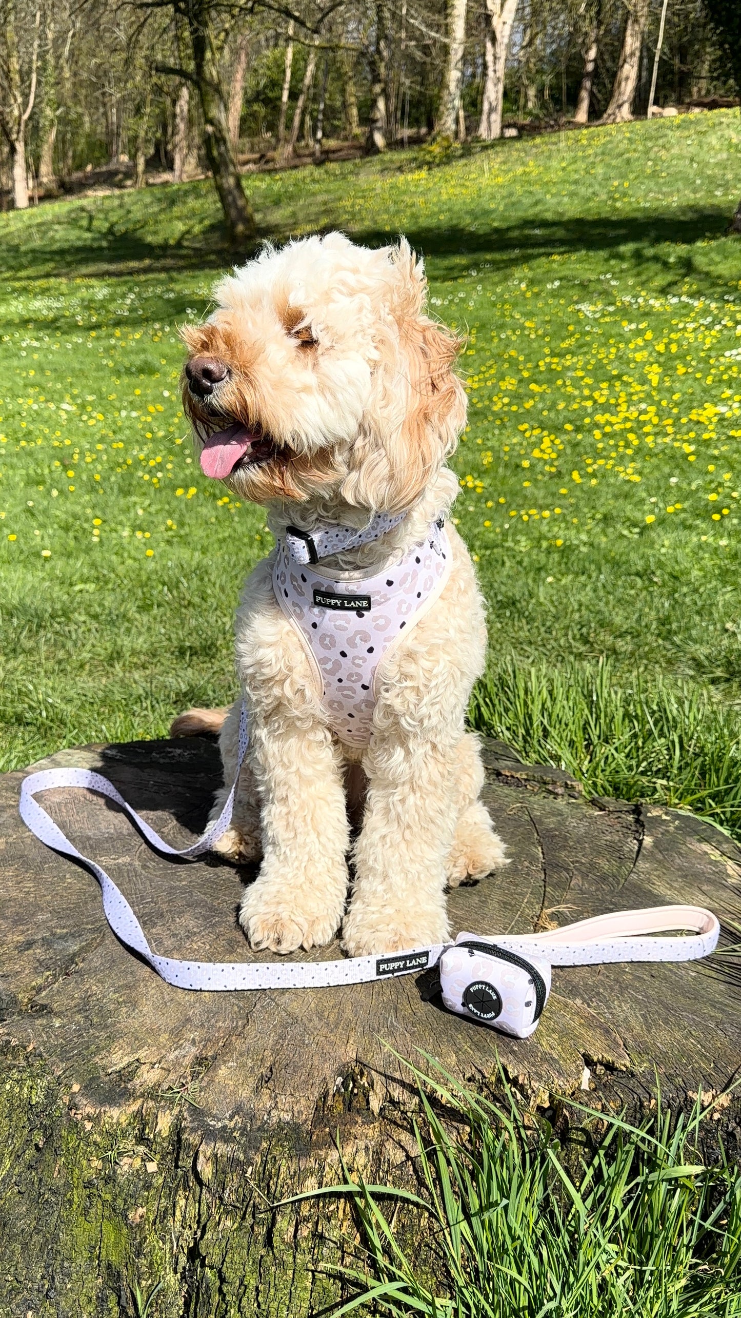 Leopard Luxe Edition - Poop Bag Holder