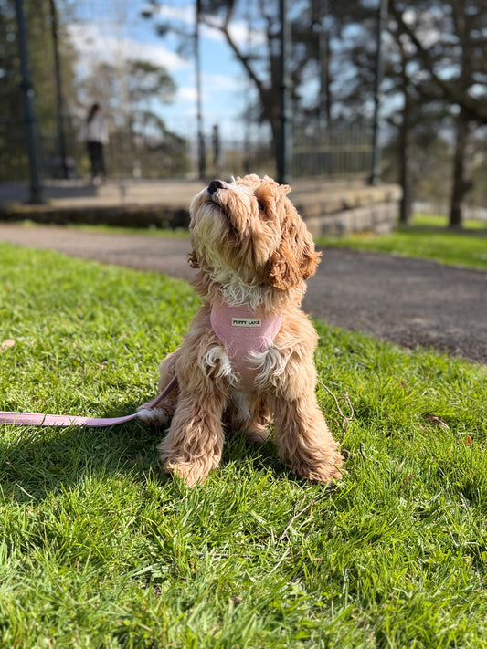 The Herringbone Collection - Baby Pink Adjustable Harness