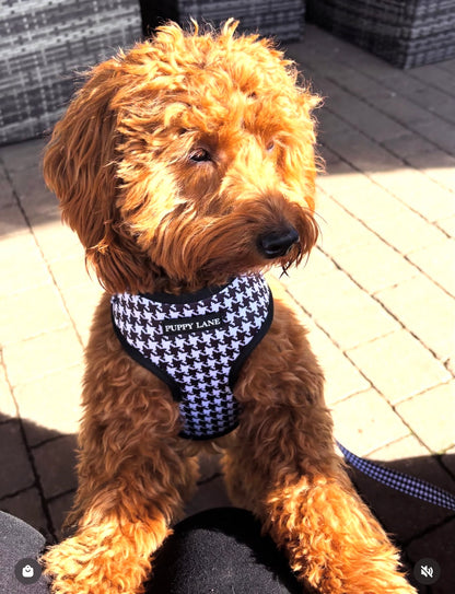 The Houndstooth Collection - Black and White Adjustable Harness