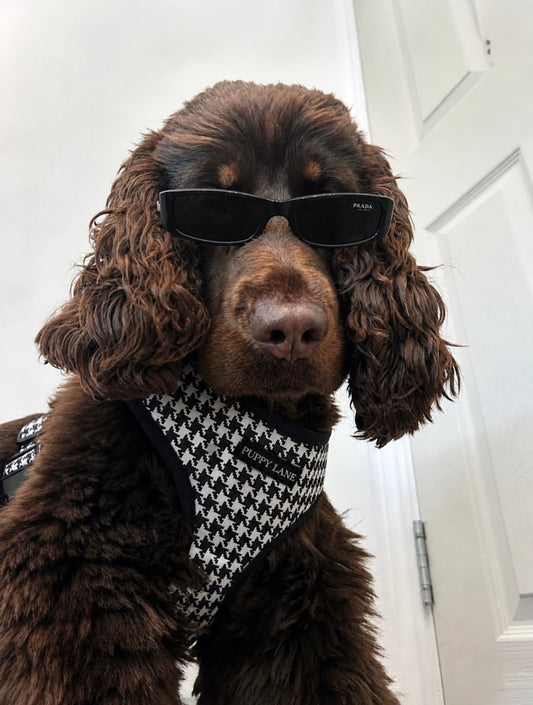 The Houndstooth Collection - Black and White Adjustable Harness