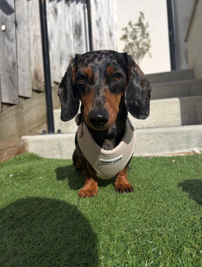 The Herringbone Collection - Cream Adjustable Harness