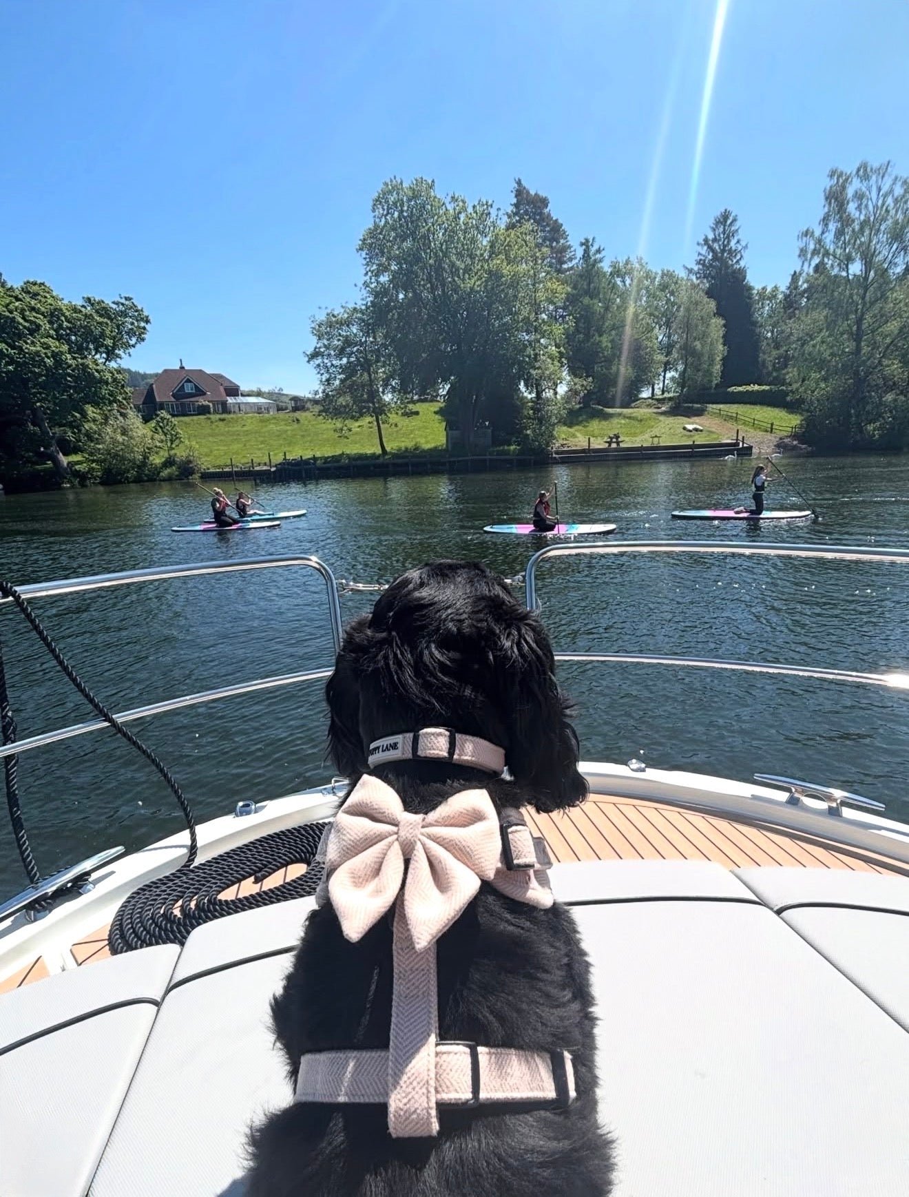 The Herringbone Collection Cream - Sailor Bow