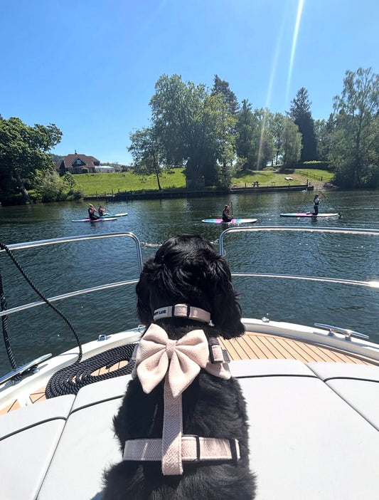 The Herringbone Collection Cream - Sailor Bow