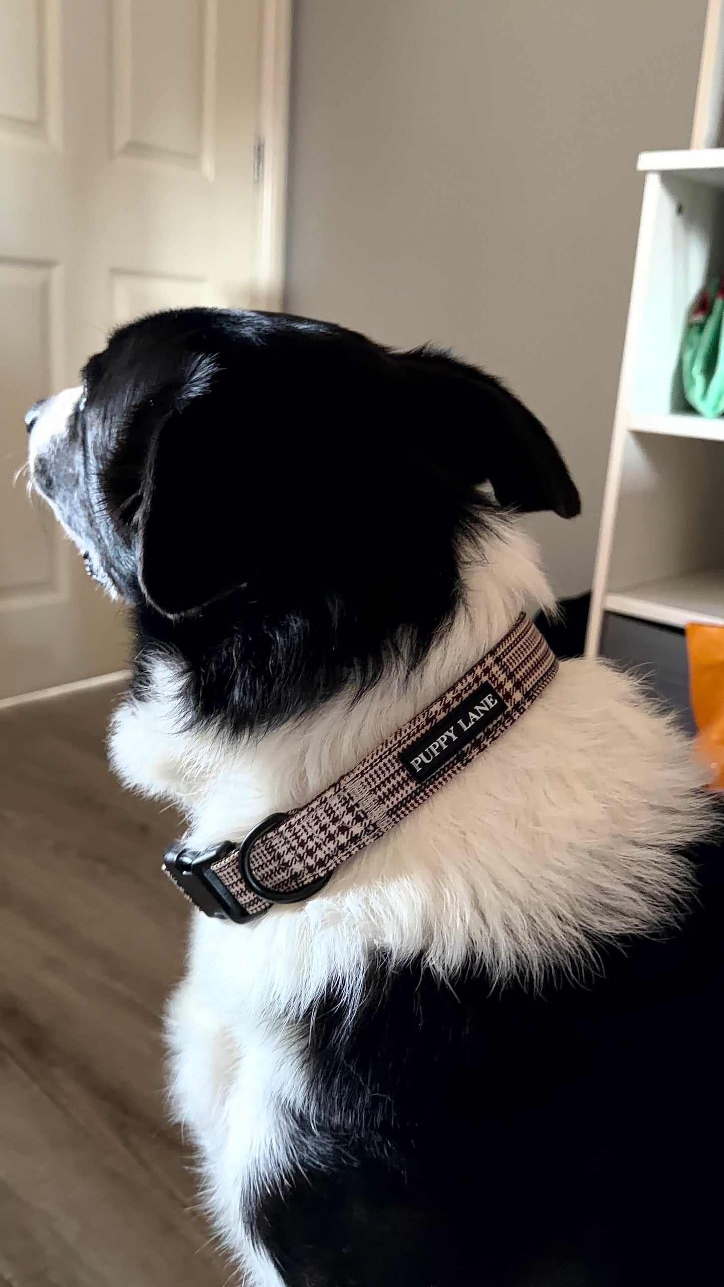 Pup in Plaid - Bundle