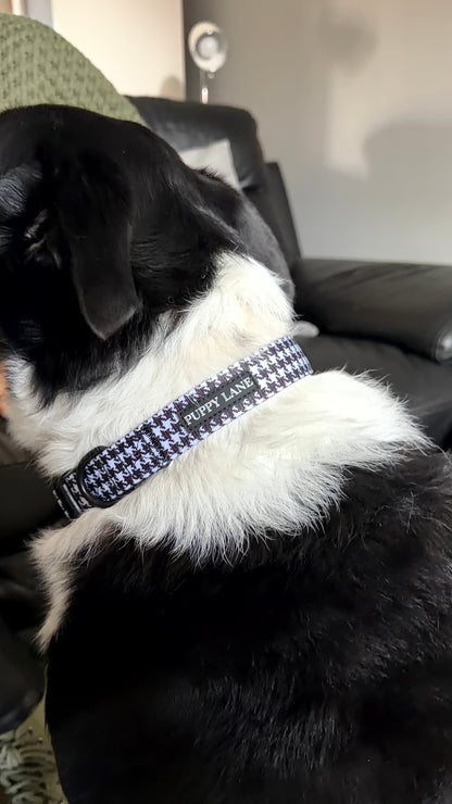 The Houndstooth Collection - Black and White Collar