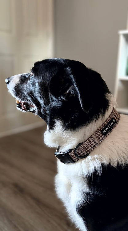 Pup in Plaid - Collar
