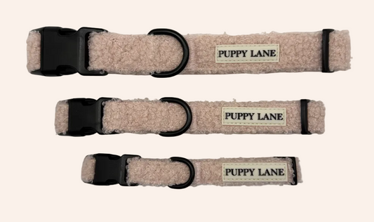 The Teddy Series - Pink Collar
